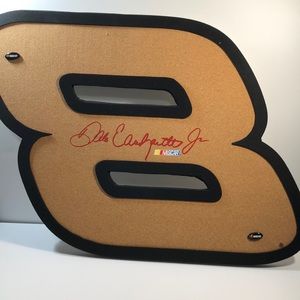 NASCAR Dale Earnhardt Jr Push Pin Board